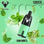 Kalyan 12000 Puffs Disposable Vape Gum Mints UAE