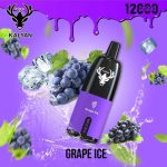 Kalyan 12000 Puffs Grape Ice UAE
