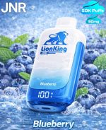 JNR Lion King 50000 Puffs Blueberry UAE