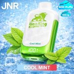 JNR Lion King 50000 Puffs Cool Mint in Dubai
