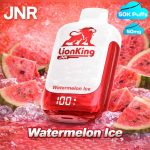 JNR Lion King 50000 Puffs Watermelon Ice in UAE